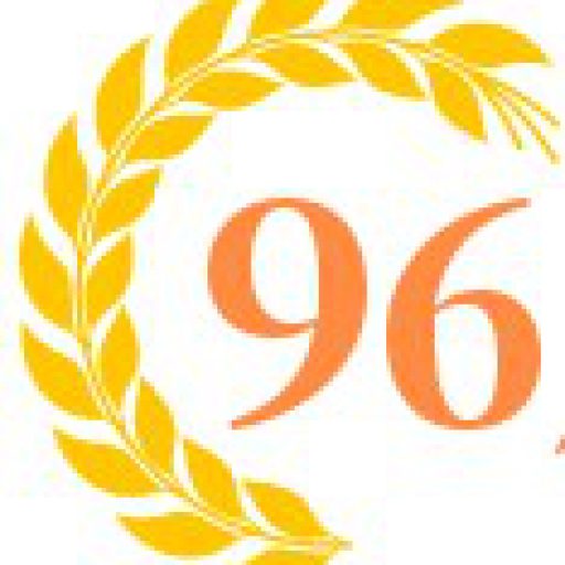 96成才网